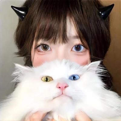 汉化日记第一季